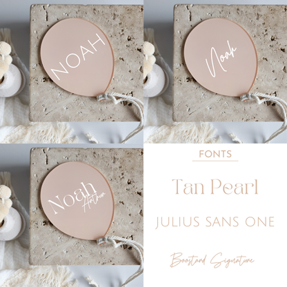 Custom Balloon Writable Birth Announcement - Name + Birth Details ~ Hand-Painted Acrylic